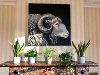 Salisbury Guest House - B&B Keswick