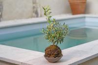 La Petite Maussanaise - B&B Maussane-les-Alpilles