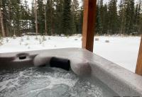 B&B Fairplay - NEW HOT TUB! Secluded, tucked away cabin - Bed and Breakfast Fairplay