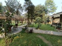 B&B Sauraha - Tharu Lodge - Bed and Breakfast Sauraha