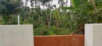 SM GARDENS Luxury Homestay - Bed and Breakfast