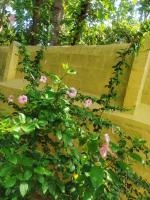 Kallidai Home Stay - Ferienwohnung Ambasamudram