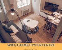 LeBeauBrun_ HyperCentre_ Duplex - Bed and Breakfast Amboise