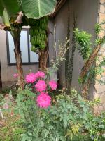 Bungalow Fronte Acqua 