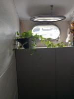 Loc de cabines sur Yacht - B&B Gruissan
