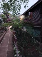 The Big tree @ Sabie - Bed and Breakfast Sabie