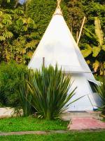 Tribu EcoHostal - B&B Los Santos