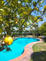 Casa Morello - B&B Zambrone