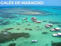 Chalés Caribe brasileiro - Chalé 1 - B&B