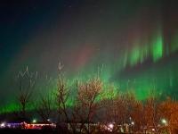 Happy-Cove Guesthouse - by the sea - B&B Bakkafjordur