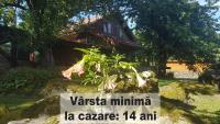 B&B Viștișoara - Casa Bunicului - Bed and Breakfast Viștișoara