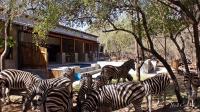 B&B Marloth Park - Dream of Africa Bush Lodge - Bed and Breakfast Marloth Park