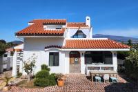 Palm Tree Villa - B&B Seogwipo