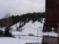 Casa Aurici Vatra Dornei - B&B Vatra Dornei