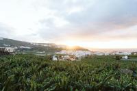 Tortuga blue house in banana plantation - Bed and Breakfast Arucas