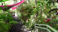 Pinpin D'amour - Bed and Breakfast