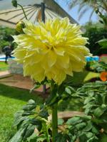 Villa mit privatem Pool