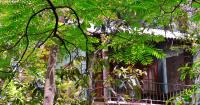 Forest View Villa