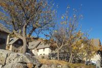 Maison de village au cœur du hameau Les Marches à Orcières - Chambres d'hôtes Orcières