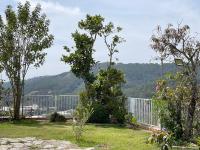 B&B Da Lat - Dalat Topview Homestay - Bed and Breakfast Da Lat