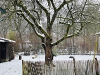 Appartement 3 Chambres