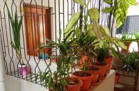 La Conforto - B&B Mormugao