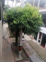 Bienvenido a tu segundo hogar a dos cuadras del centro recreaciónal lagos club comfatolima - B&B Ibagué