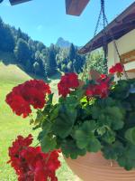 Bergmomente Montafon Ferienhaus Bitschweil - B&B Tschagguns