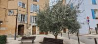 Le Rocher appartement Cotignac - B&B