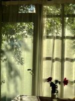 Camera Queen con Vista Giardino