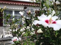 Casa Franci - Bed and Breakfast Ascona