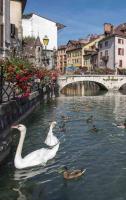 Alpin Mimosa 5 min vieille ville - B&B Annecy