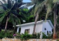 Camera Familiare con Vista Giardino