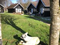 Kilcoy Chalets - B&B Muir of Ord