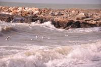 Sweet Cecina Mare - B&B
