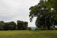 Zimmer mit Queensize-Bett und Gartenblick