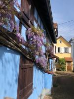 T2 - Tram direct Strasbourg Centre Ville en 11 min - PARKING GRATUIT - B&B