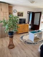 B&B Pirot - Mićin dom - Bed and Breakfast Pirot