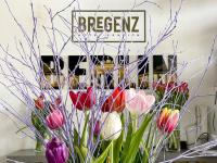Hotel Bregenz - B&B Berlin