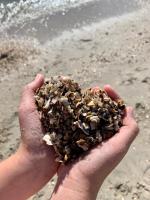 Meerblick 43 - B&B Wangerland