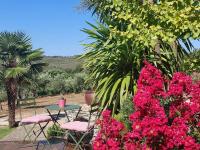 Quinta das Regueiras - B&B