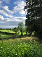 Field View - B&B