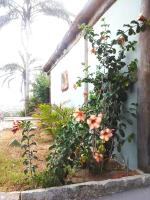 Economy Double Room with Garden View