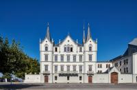 Château de l'Aile- Boutique Suites - B&B Vevey