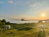 B&B Marazion - The Tidal Shore - Adults Only - - Bed and Breakfast Marazion