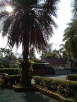 Superior Villa