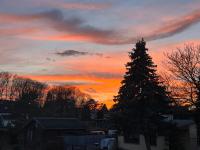 FeWo Sunshine - Chambres d’hôtes Heringsdorf