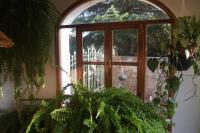 Lorelei - B&B Mina Clavero