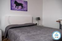 Camera Matrimoniale con Bagno in Comune 