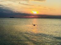 Exclusive FEWO in Warnemünde, 150m to the beach, 2 bathrooms, 2 bedrooms, sauna, WiFi and much more. - B&B Rostock